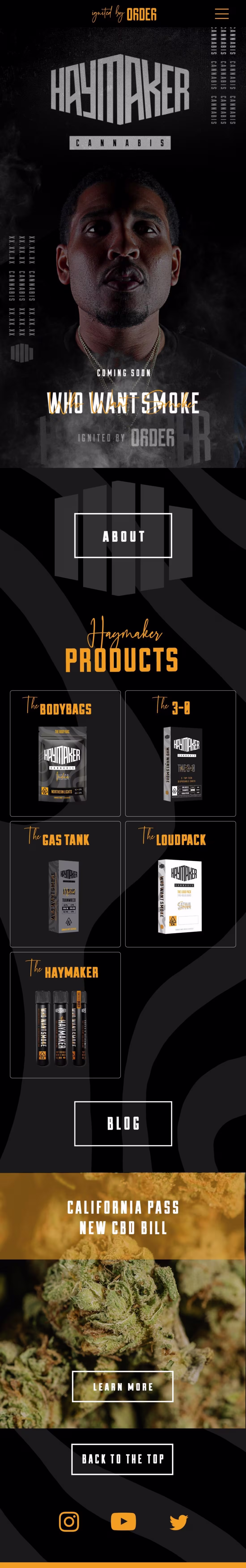 Cover image for Haymaker