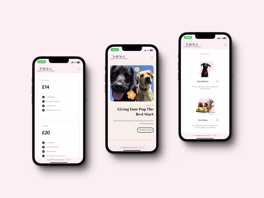 Cover image for Framer Website Development: Stunning, Fast, and Custom-Built!