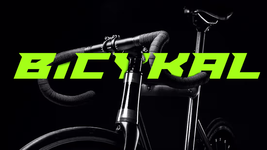 Cover image for Bicykal - Visual Identity on Behance