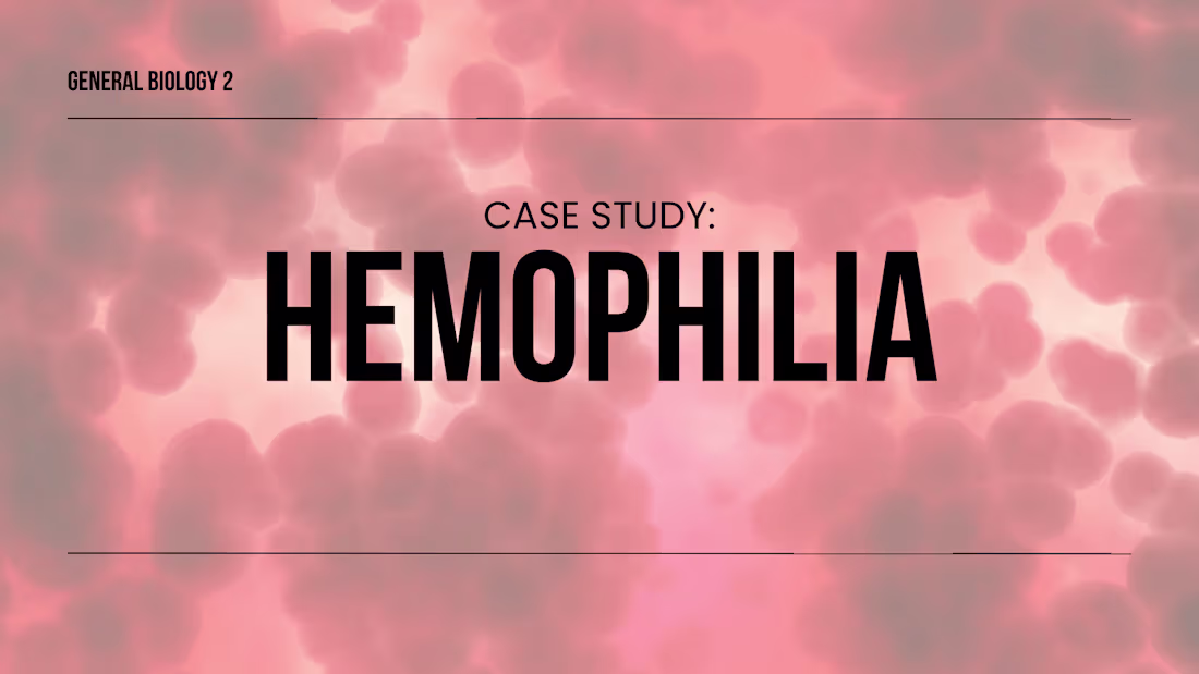 Cover image for School Presentation Design