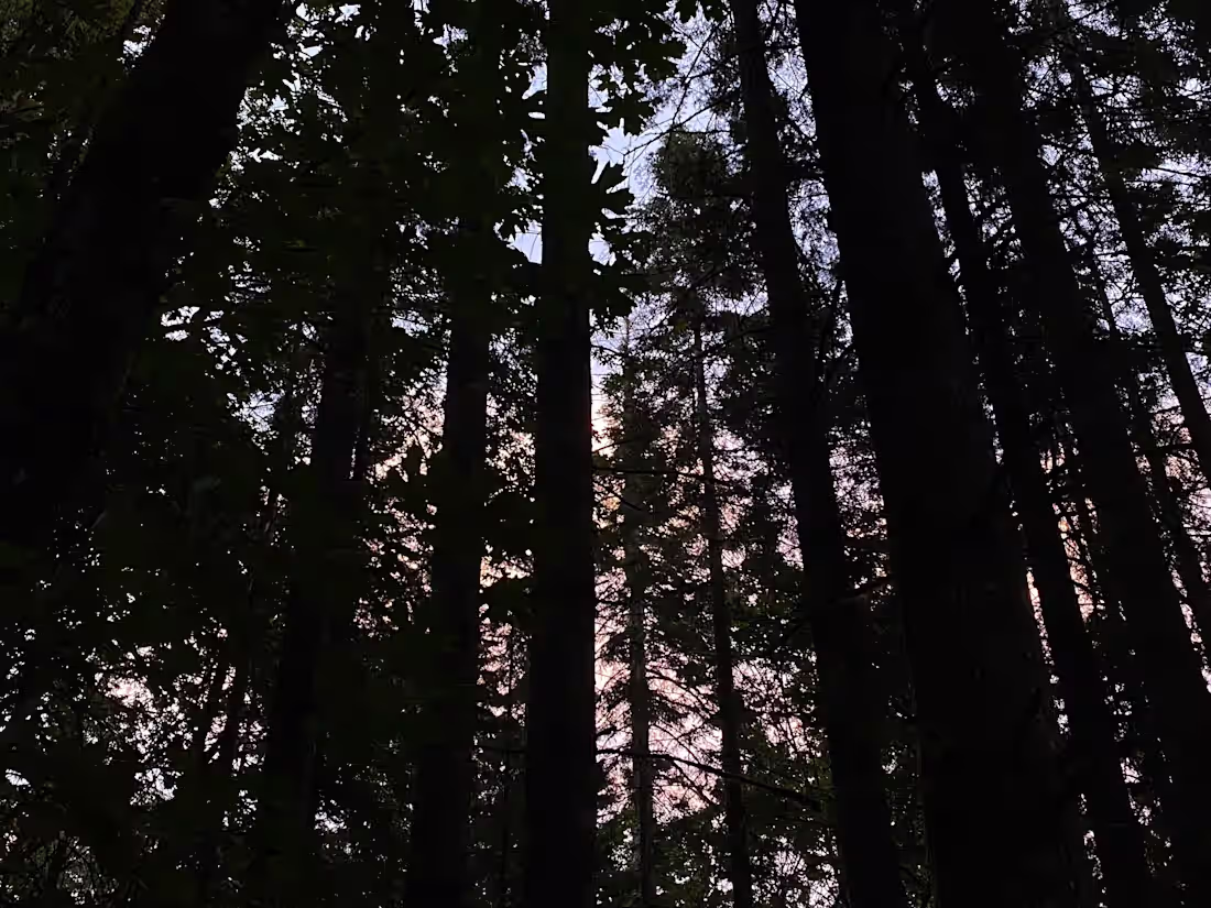 Cover image for The Revolution of Canadian Psychiatry: An examination of how ps…