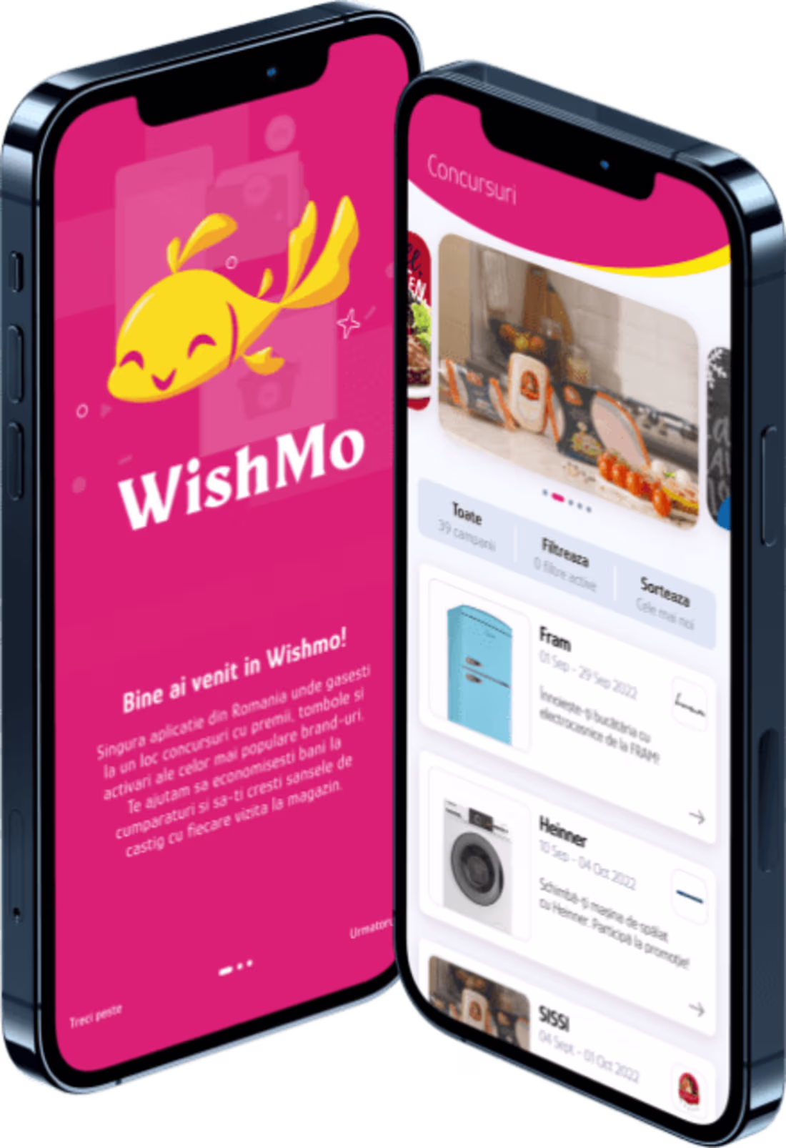 Cover image for Wishmo