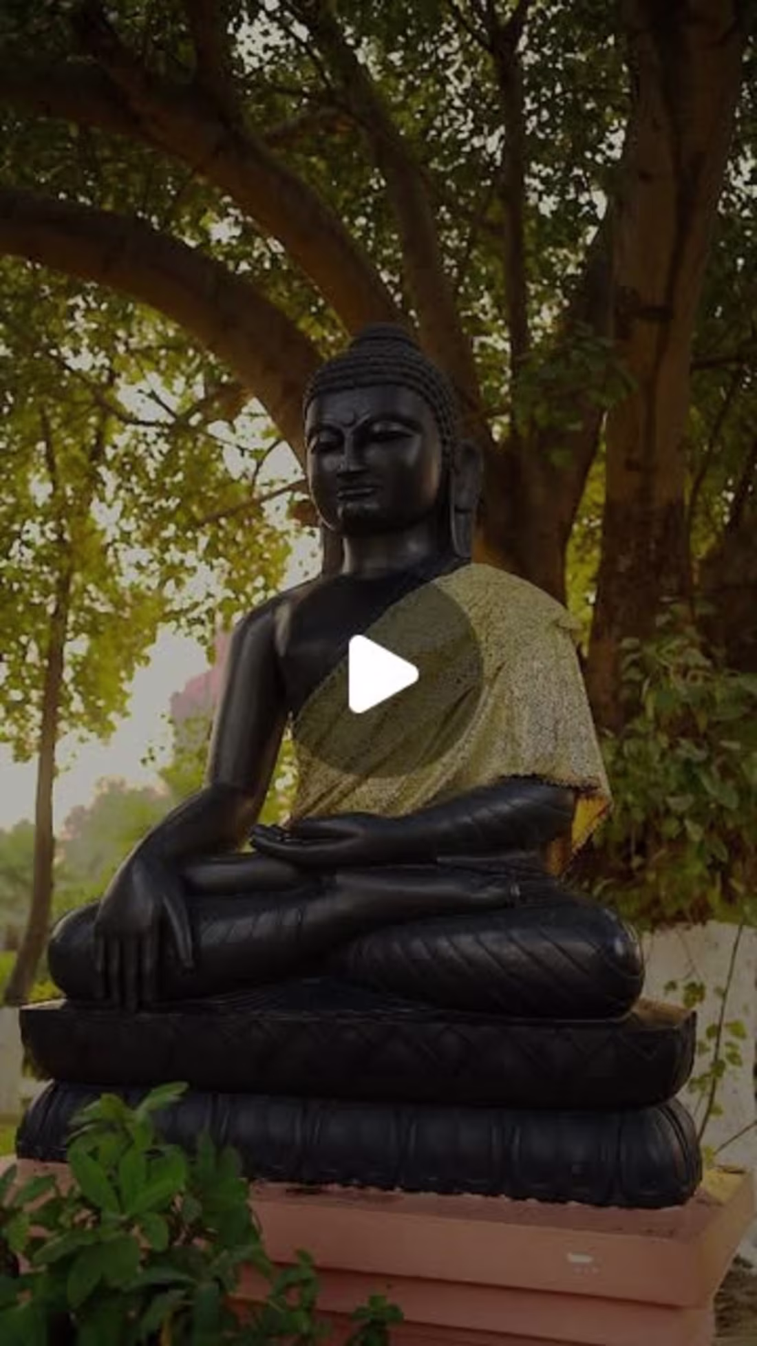 Cover image for Atul Sharma on Instagram: ”#sony #sonyalpha #sony #india”