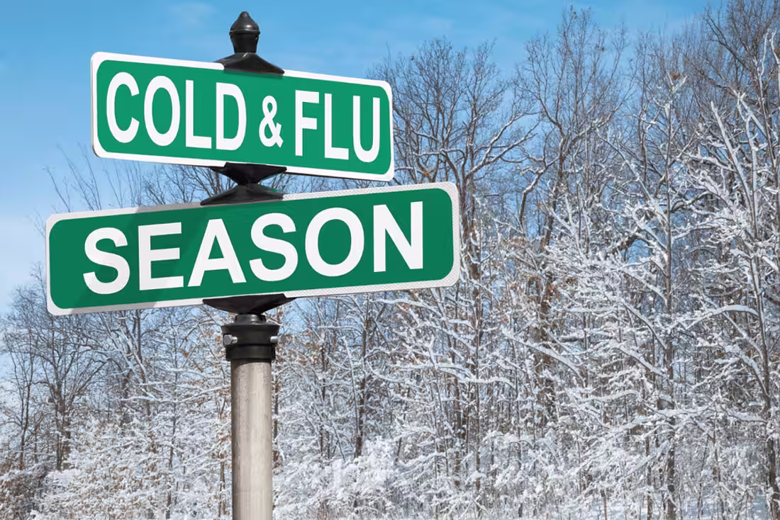 Cover image for Cold and Flu Season: Healthy Strategies for a Healthy Winter