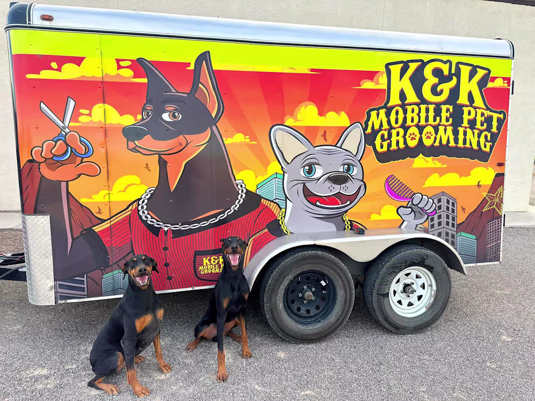 Cover image for I created the full vehicle