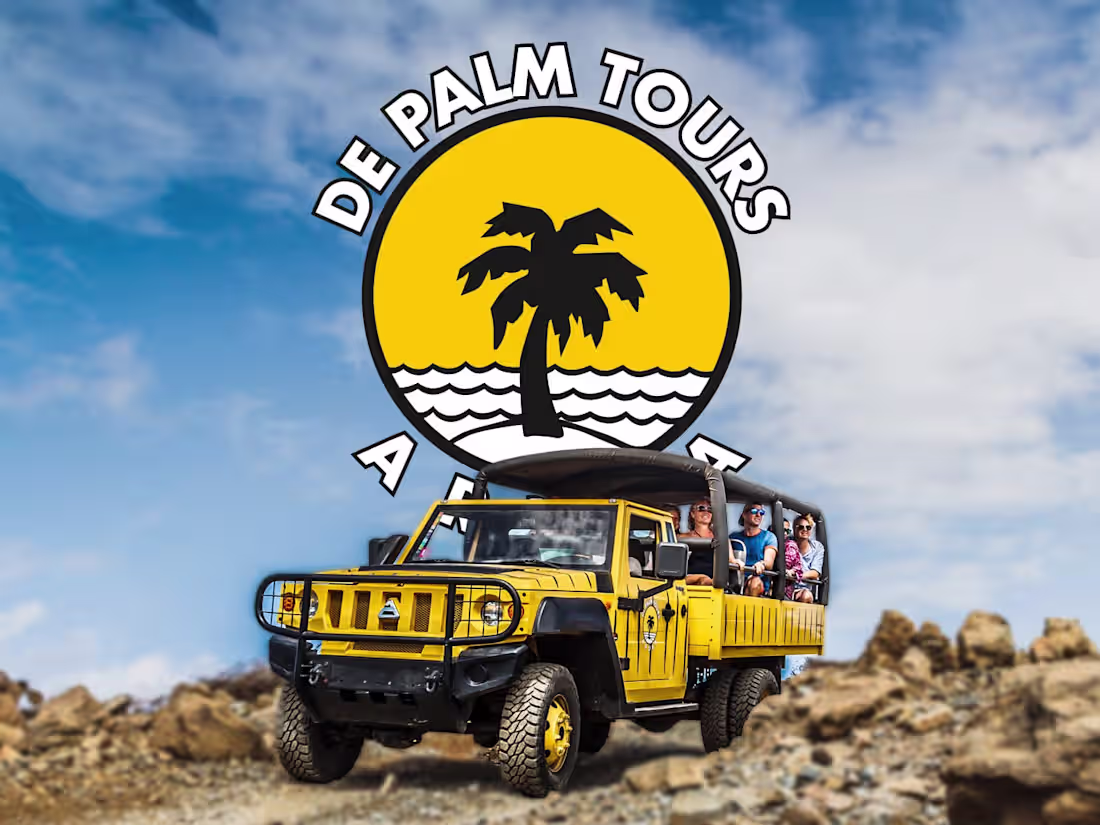 Cover image for De Palm Tours Visual Identity