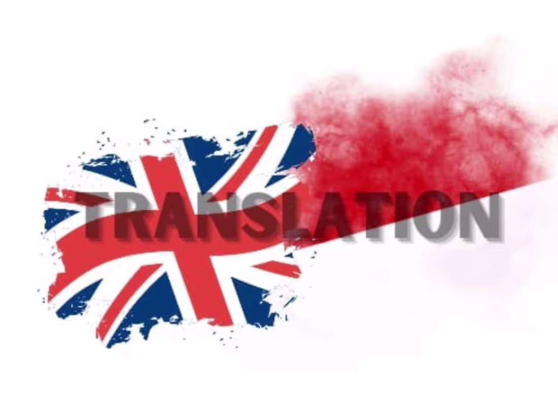 Cover image for Newbie Translator: Crafting Precise, Context-Rich Translations