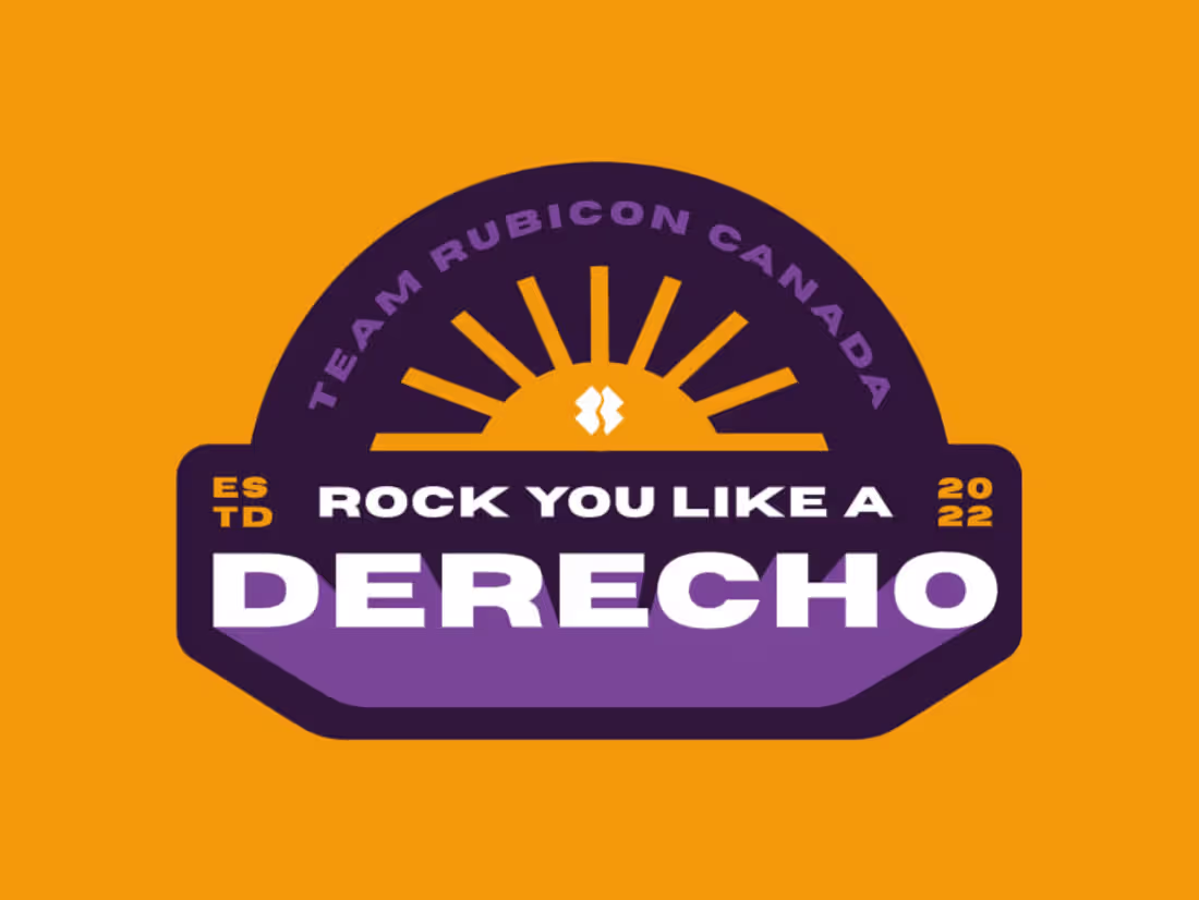 Cover image for Patches/Illustrations