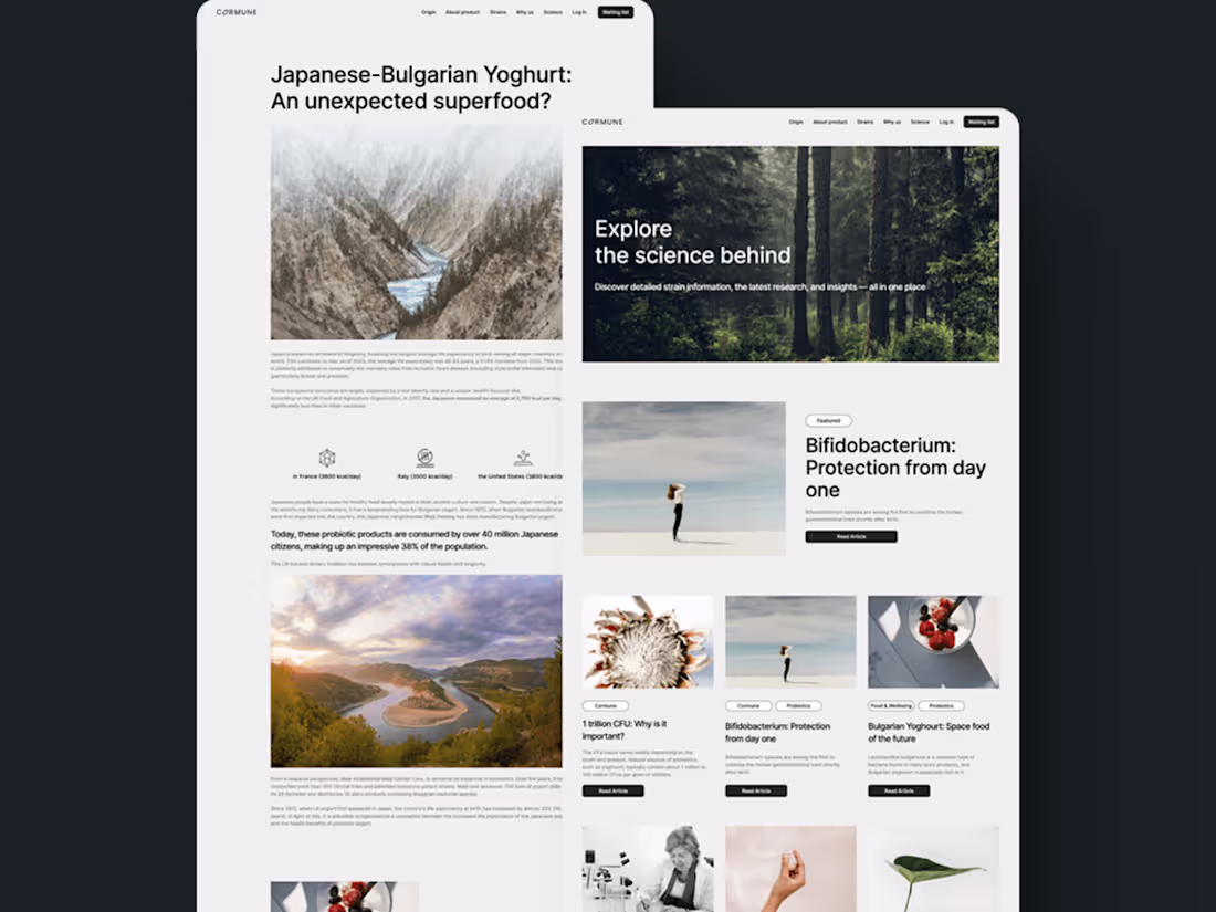 Cover image for Web Design & Development