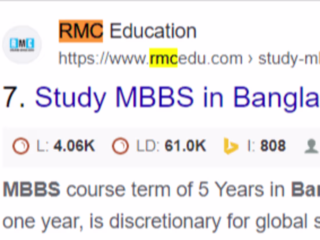 Cover image for SEO Services