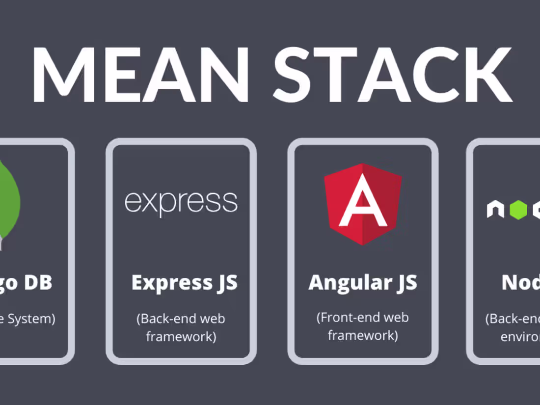 Cover image for MERN or MEAN development