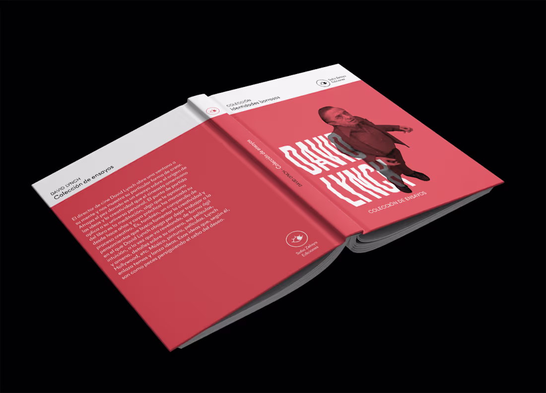 Cover image for Colección de libros - IDENTIDADES OCULTAS