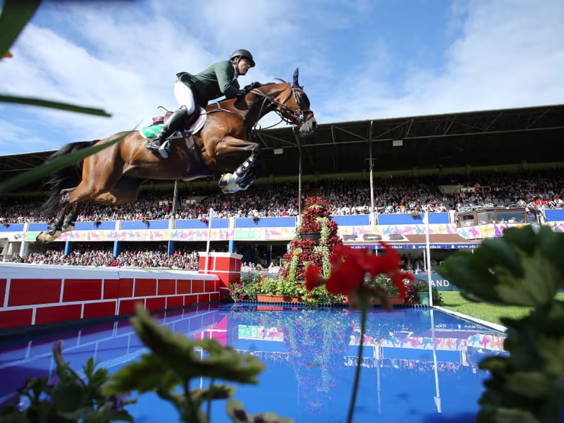 Cover image for Dublin Horse Show - The making of Outdoor Advertising 3D Build