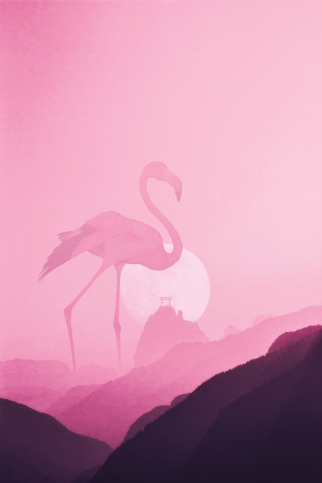 Cover image for Flamengo Days 