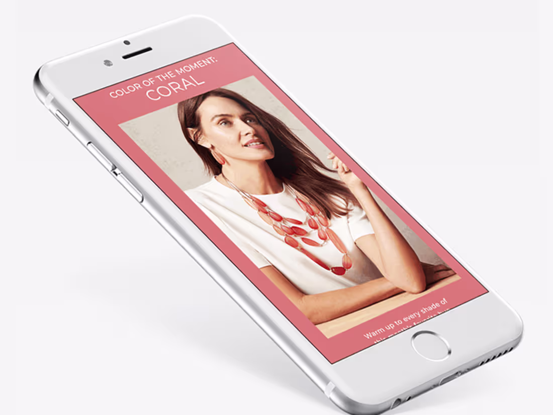 Cover image for Chico's