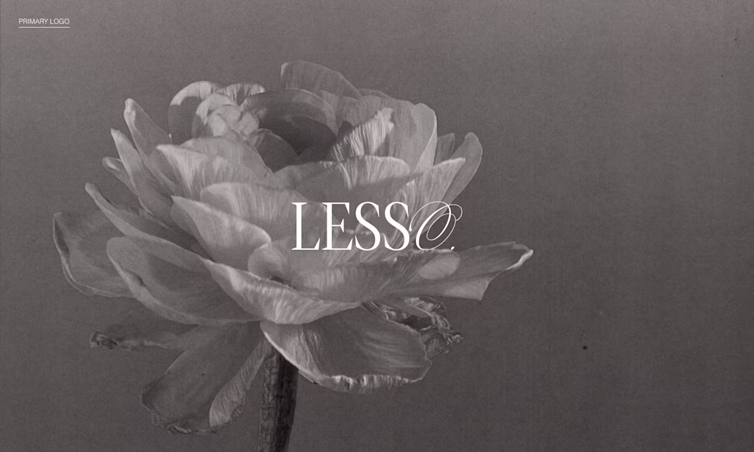 Cover image for Lesso 🩰 Branding Identity + Web Design 