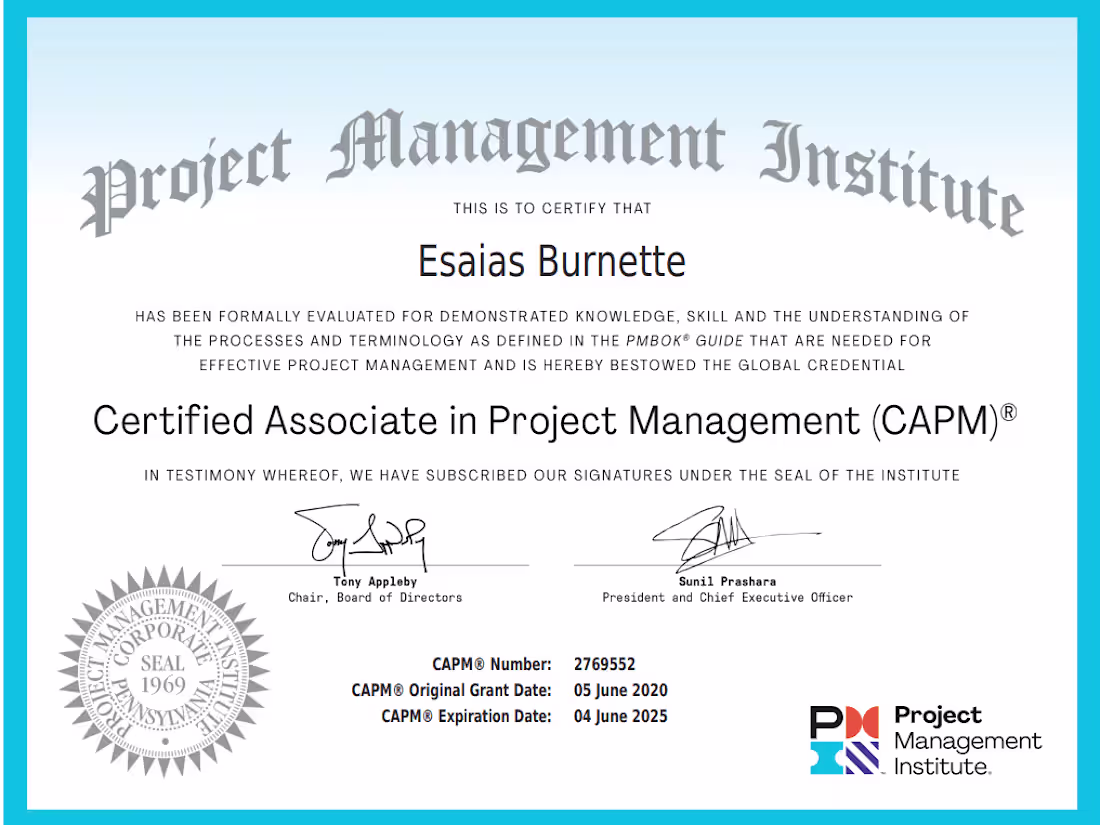 Cover image for IT Project Manager