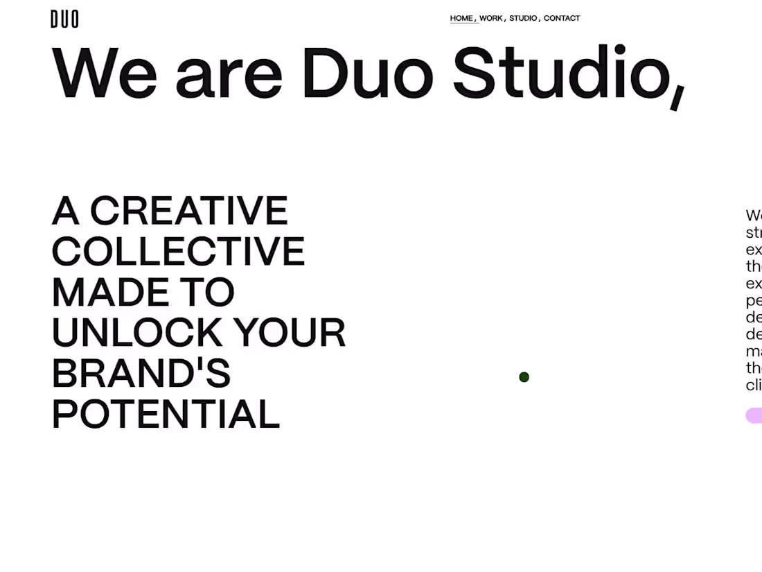 Cover image for Duo Studio Clone
