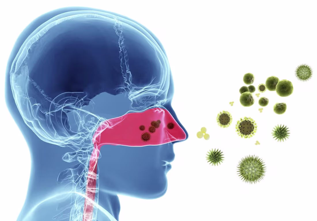 Cover image for Allergy Season: Dealing with Common Allergies During Spring