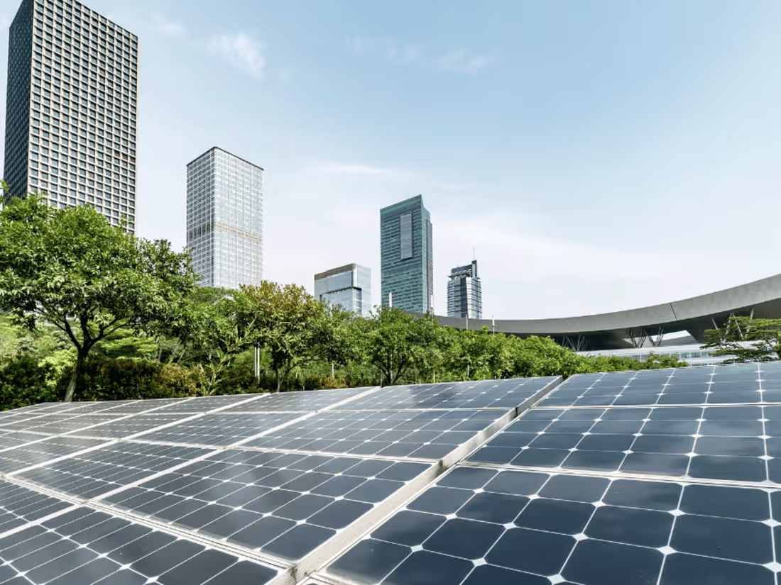 Cover image for Sustainability Needs ESG and CSR Frameworks in Business