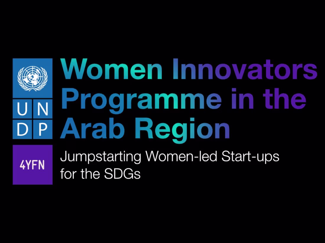 Cover image for Women Innovation Programme