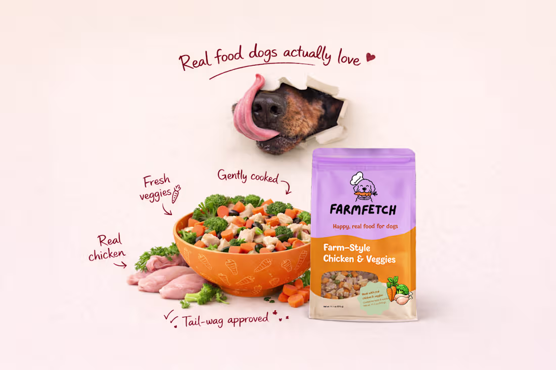 Cover image for 🐶 Brand Identity Project: FarmFetch
Recently,