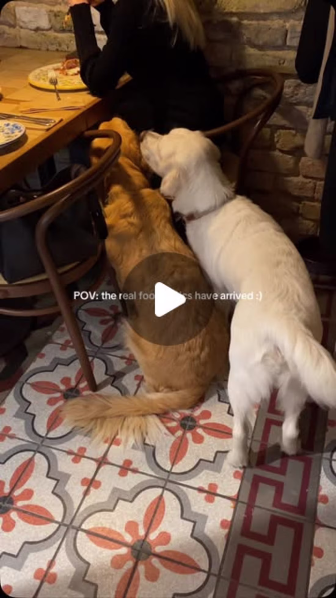 Cover image for Flying Tomato Pizza on Instagram: “Weekend inspection”