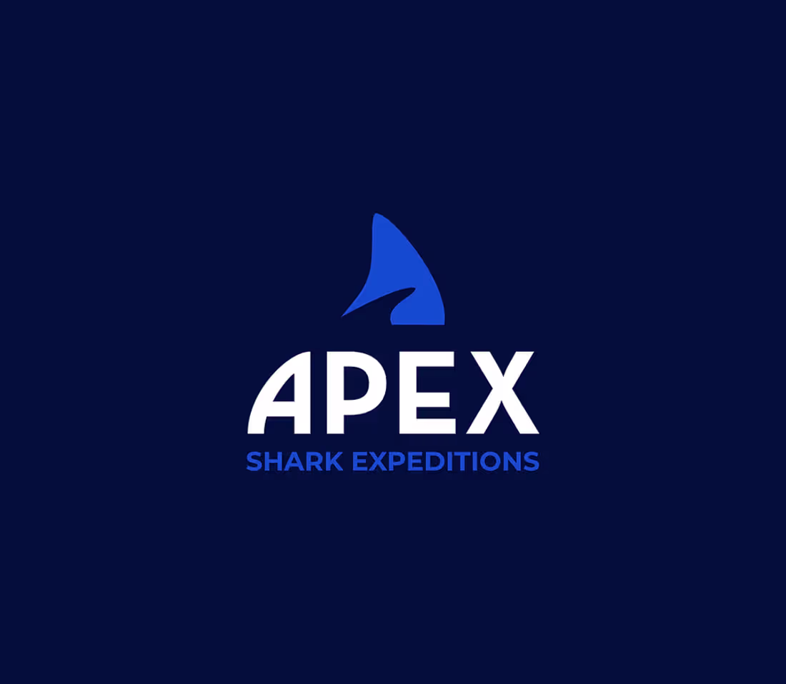 Cover image for Apex Shark Expeditions: A Bold Rebrand for a Bold Mission