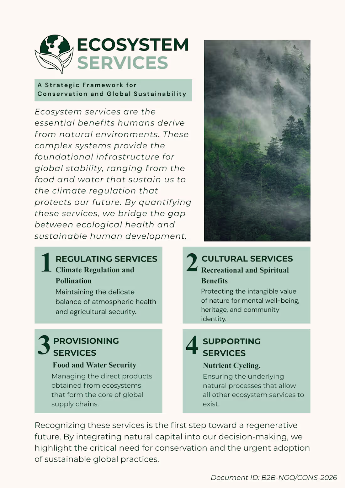 Cover image for B2B Strategic Framework for Conservation