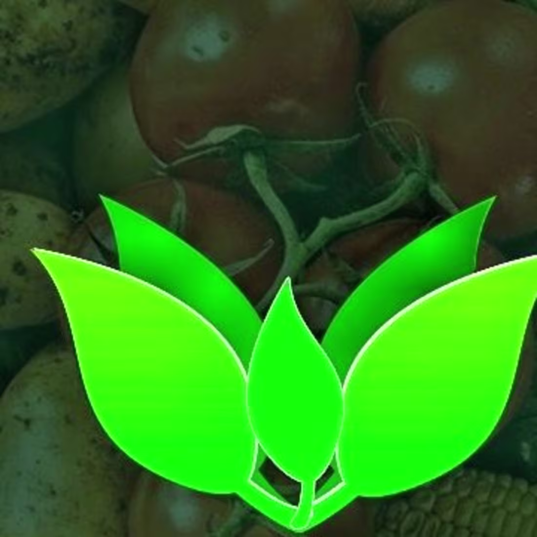 Cover image for Alamu Johnson O | Graphic designer on Instagram: “It another lo…