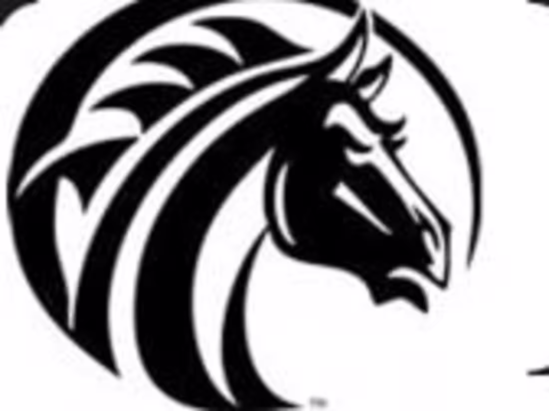 Cover image for Collegiate Articles