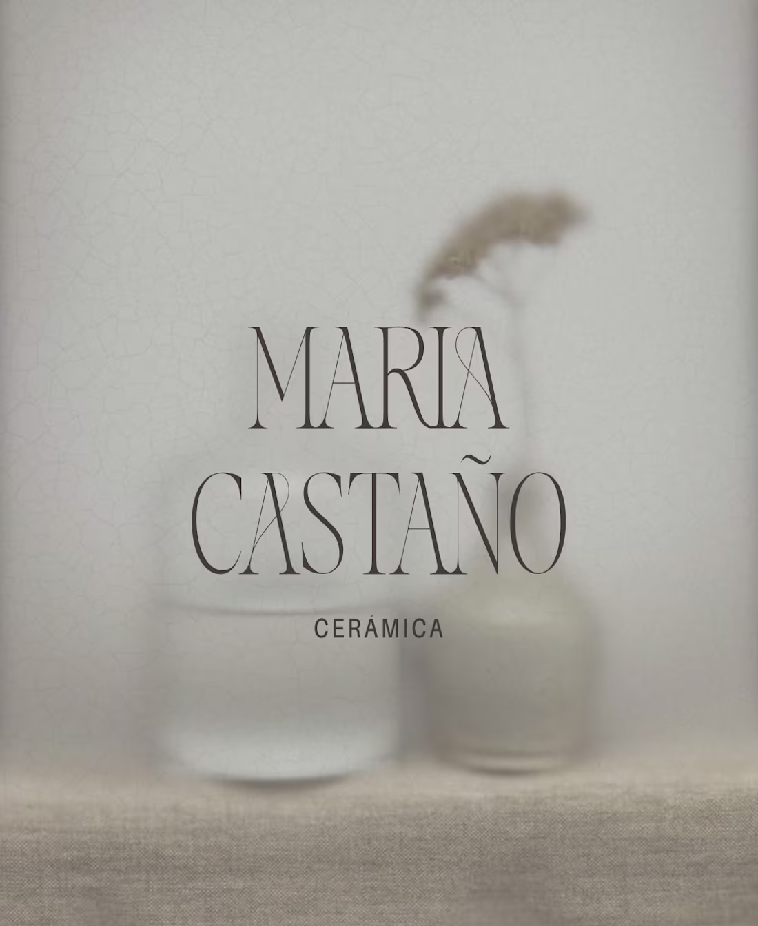 Cover image for María Castañó Ceramica
Brand Identity System