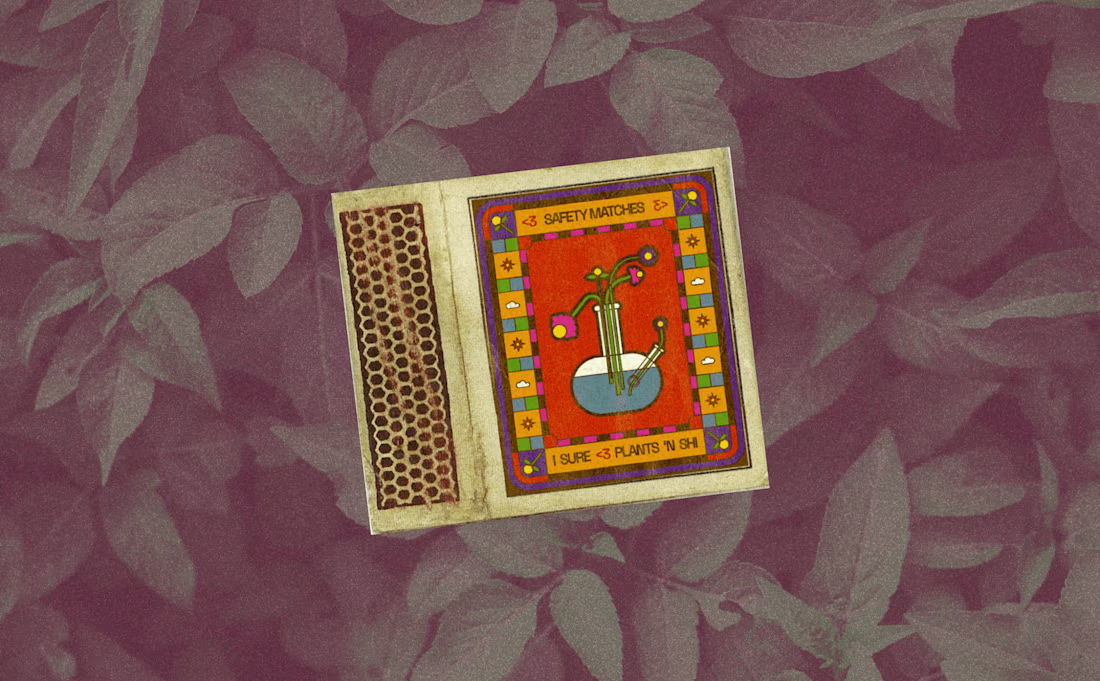 Cover image for Plants