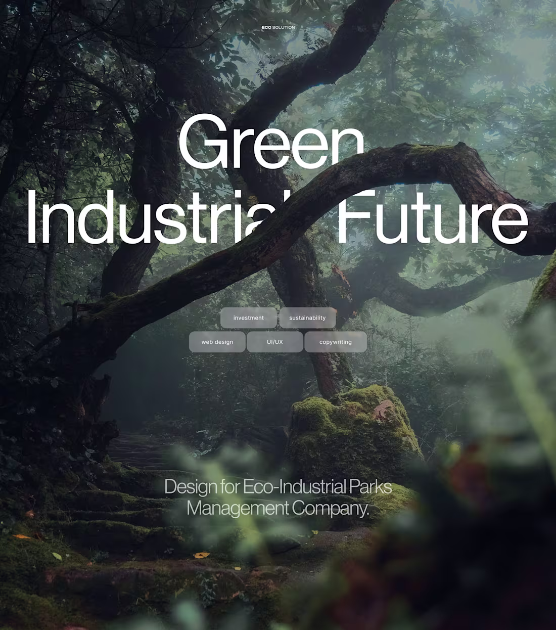 Cover image for ECO SOLUTION – website design