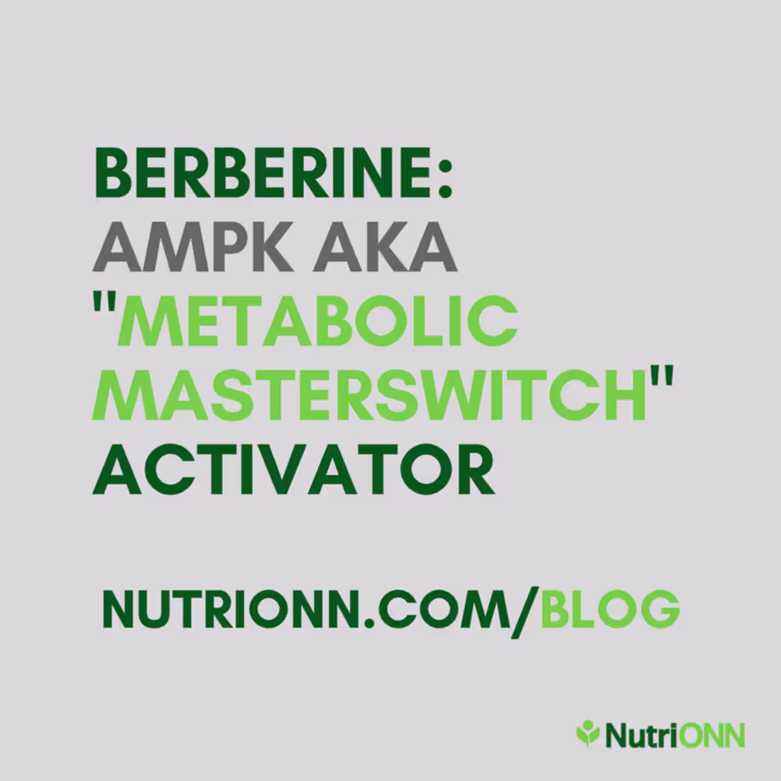 Cover image for Berberine: AMPK aka “Metabolic Master Switch” Activator