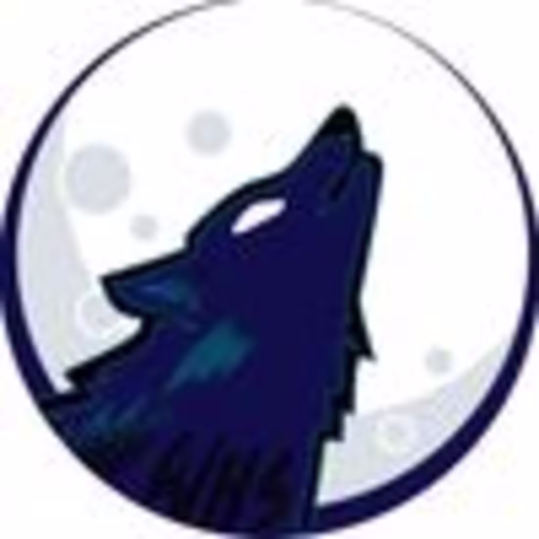 Cover image for Moonlit Productions (@themoonlitco) • Instagram photos and vide…