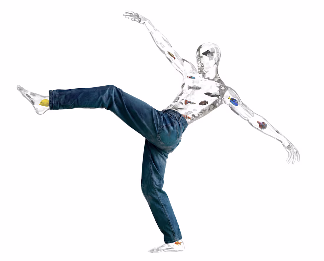 Cover image for Experiences