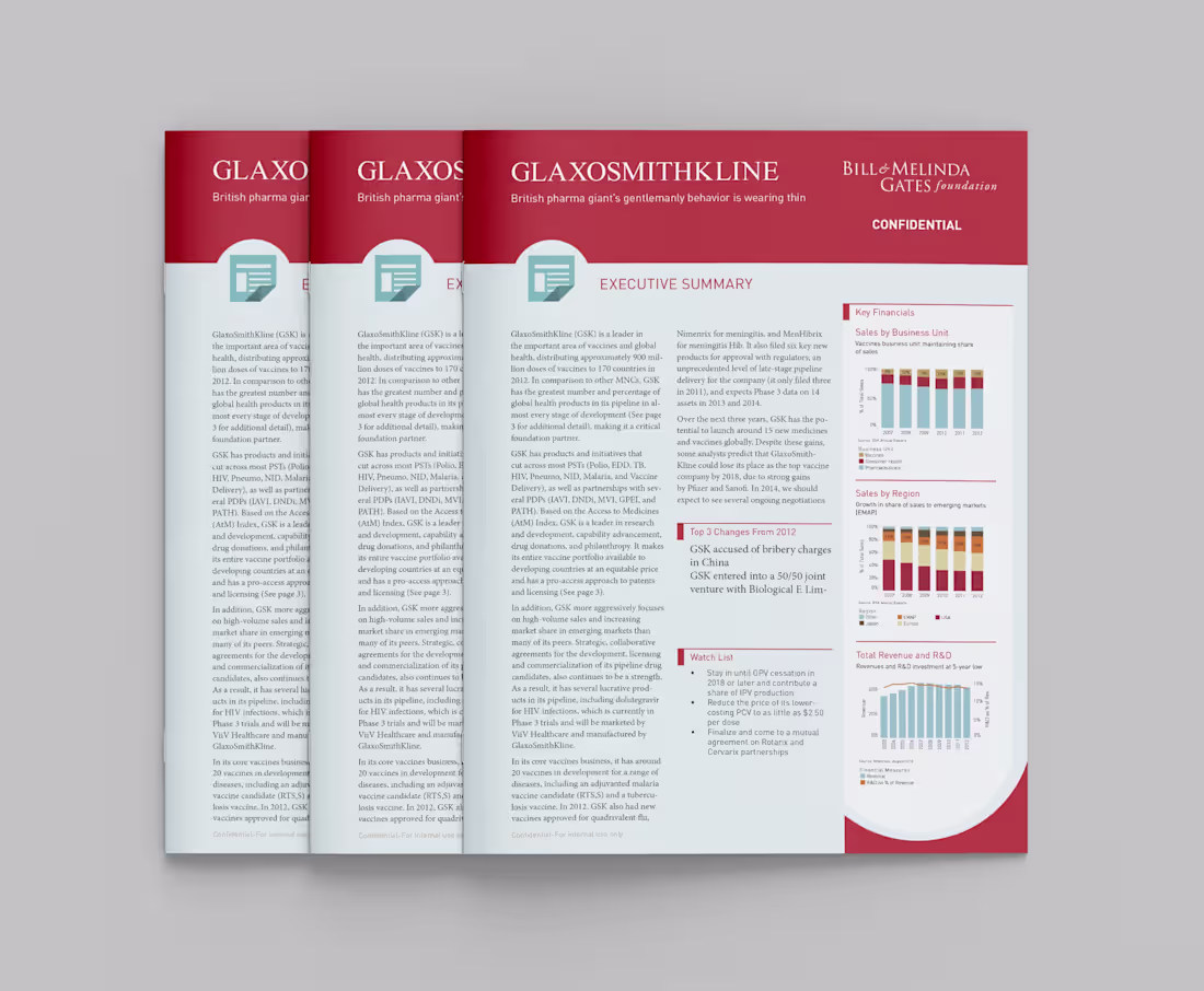 Cover image for Gates Foundation Report