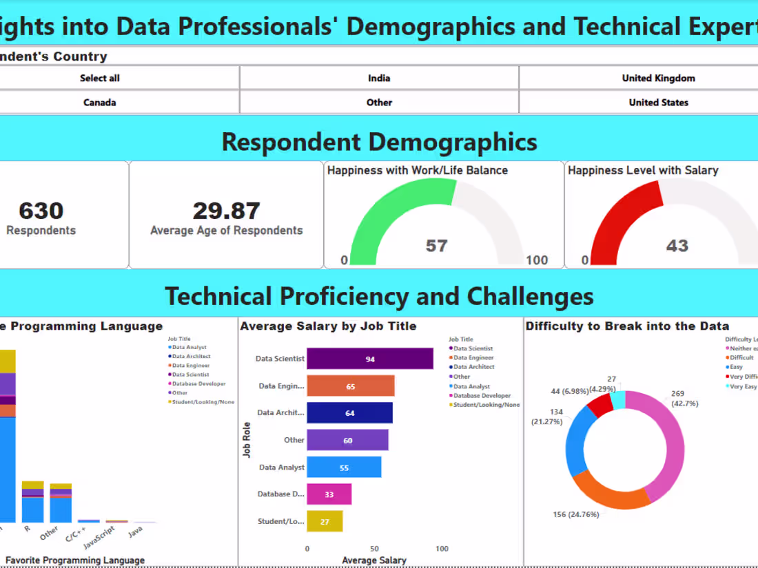 Cover image for Insights-into-the-Data-Professionals-Demographical-and-Expertis…