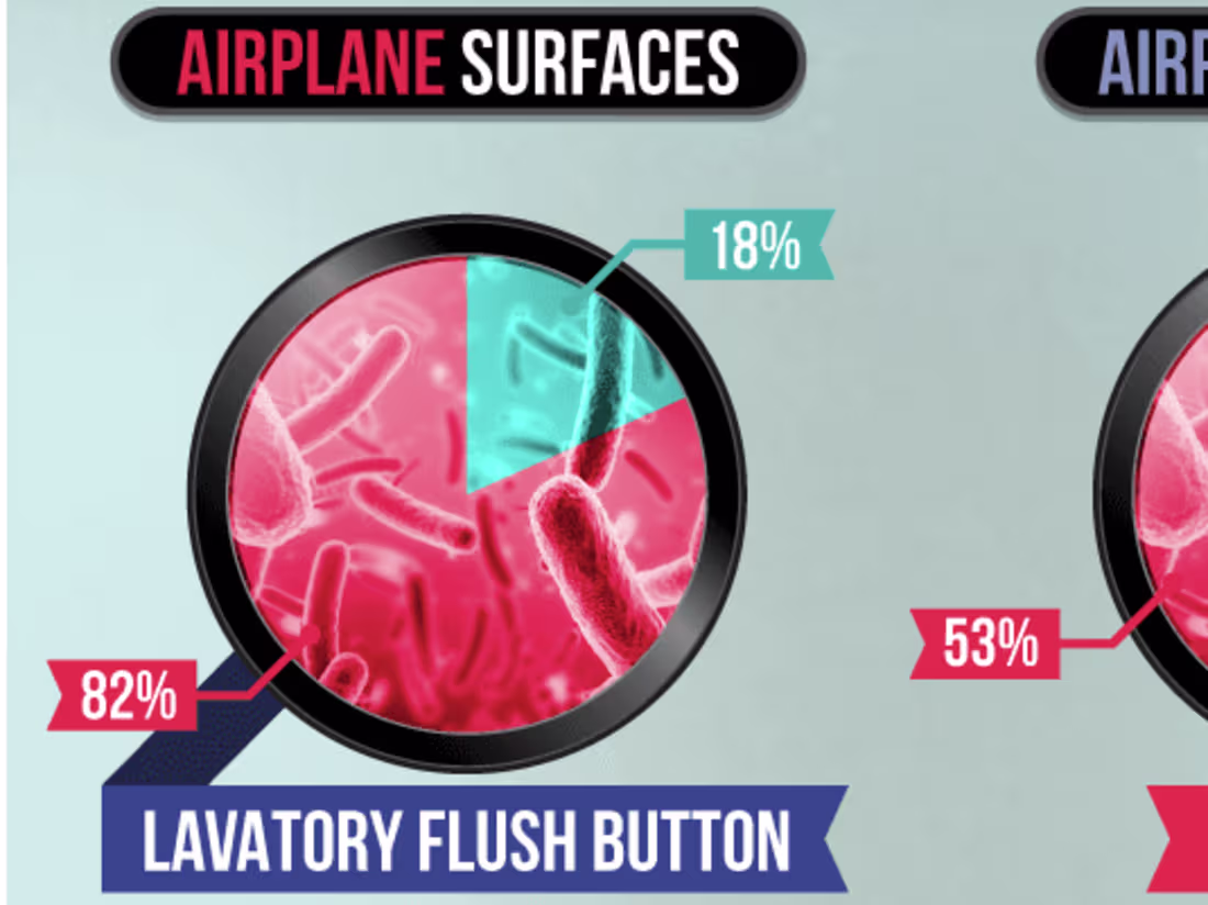 Cover image for Link Building: Germs and Air Travel
