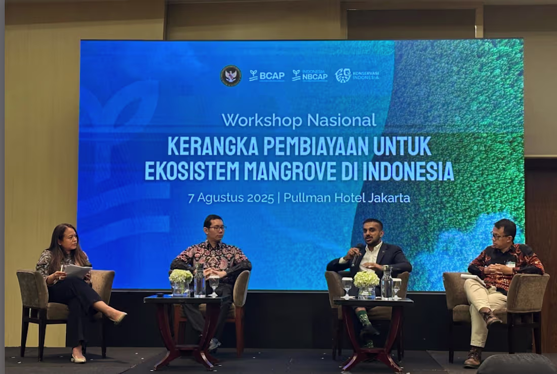 Cover image for Creating investable opportunities in Indonesia