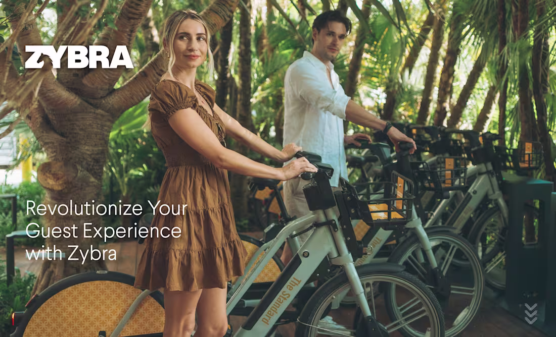 Cover image for Zybra