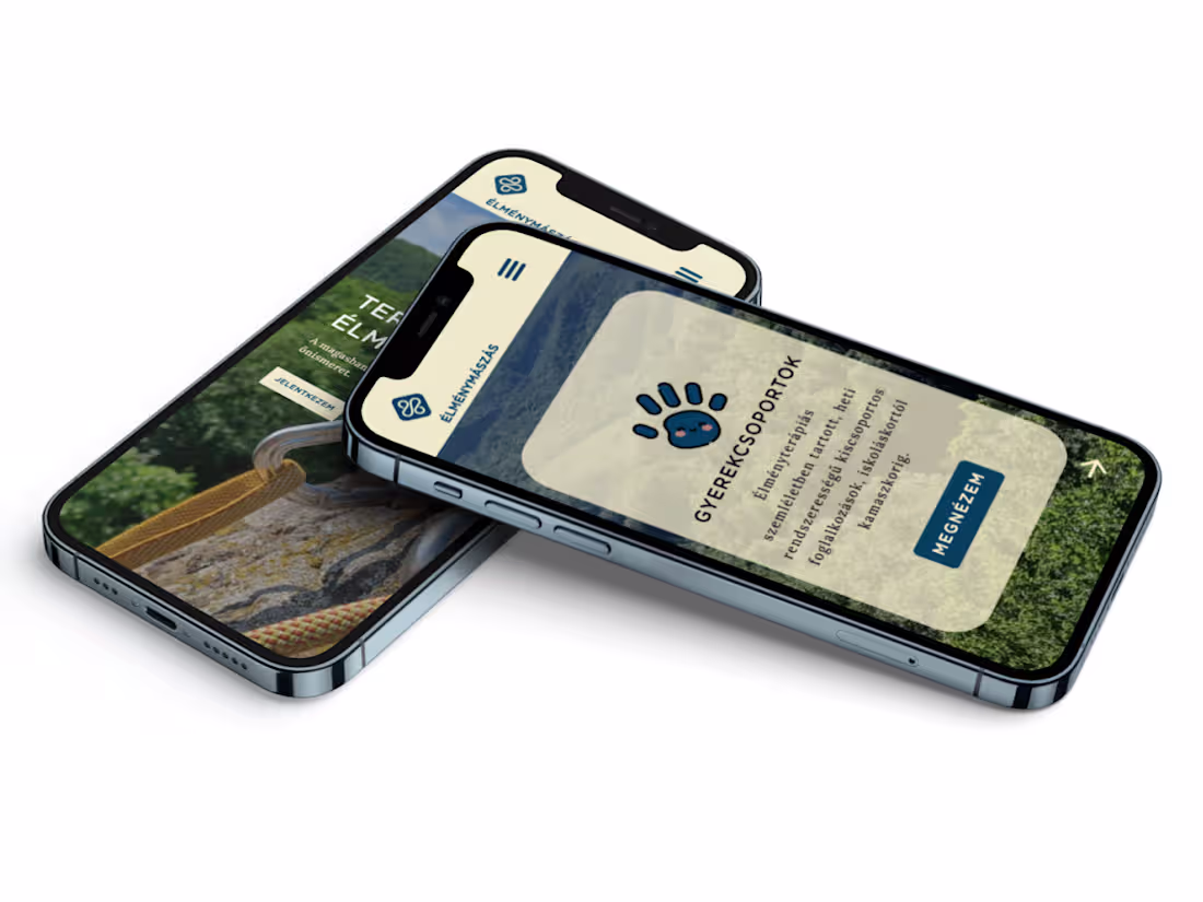 Cover image for Redesign for a Therapeutic Climbing Association