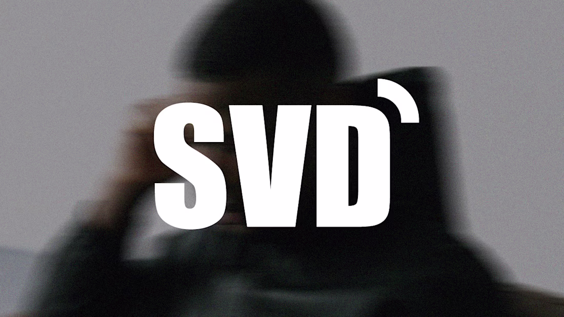 Cover image for SVD Brand Identity Design