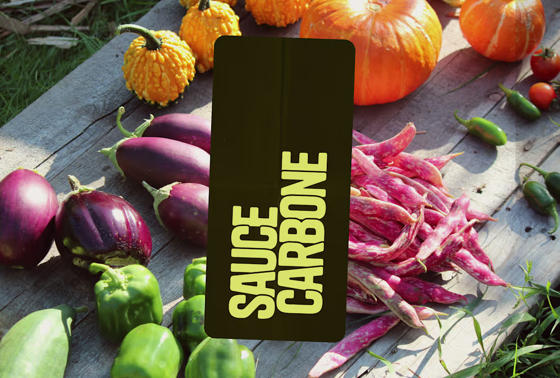 Cover image for Brand & Website design & development | Sauce Carbone