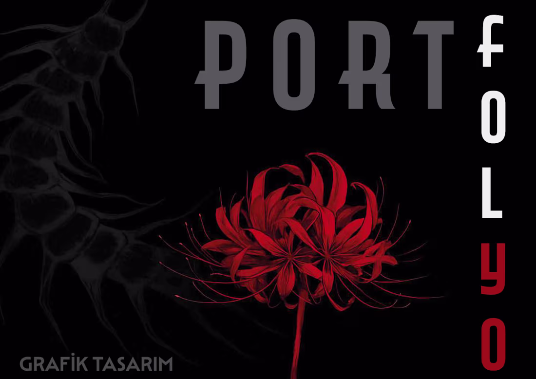 Cover image for My Portfolio - Part 1