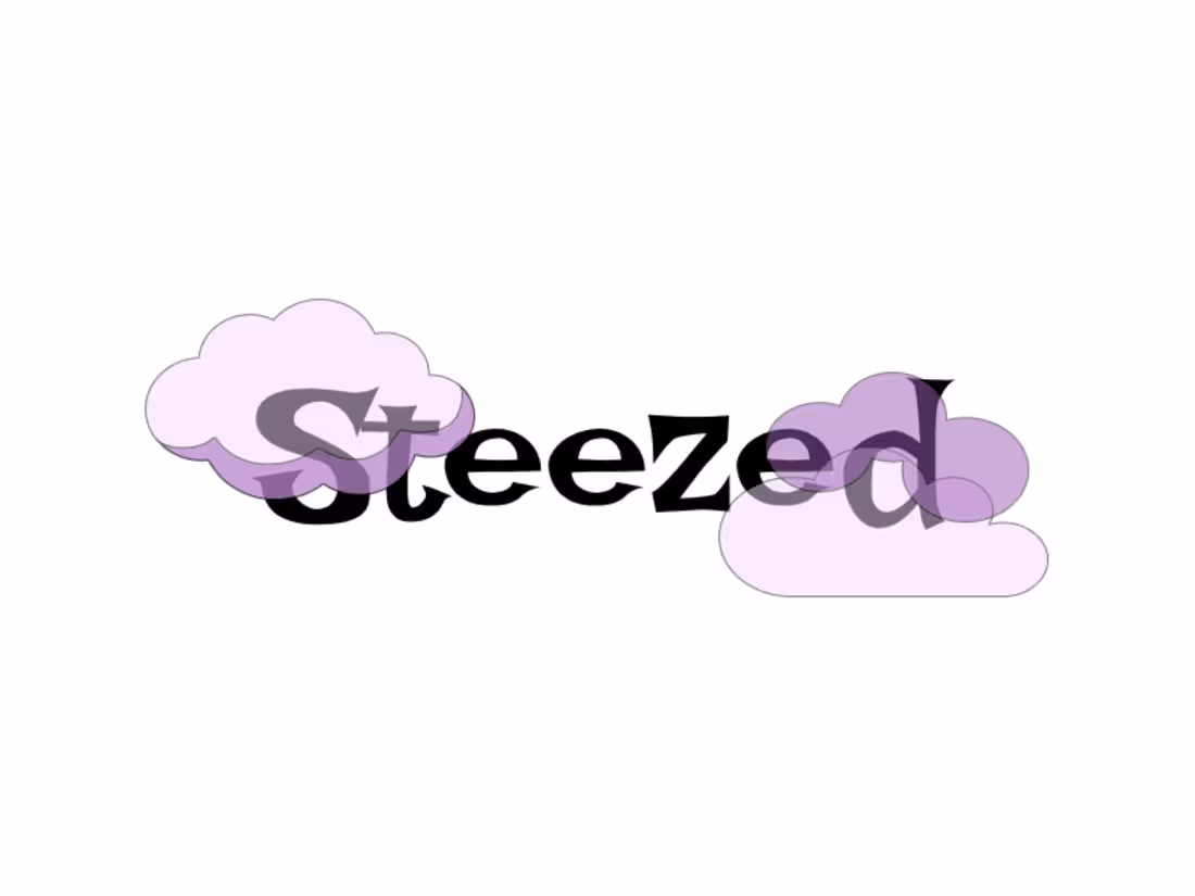 Cover image for STEEZED