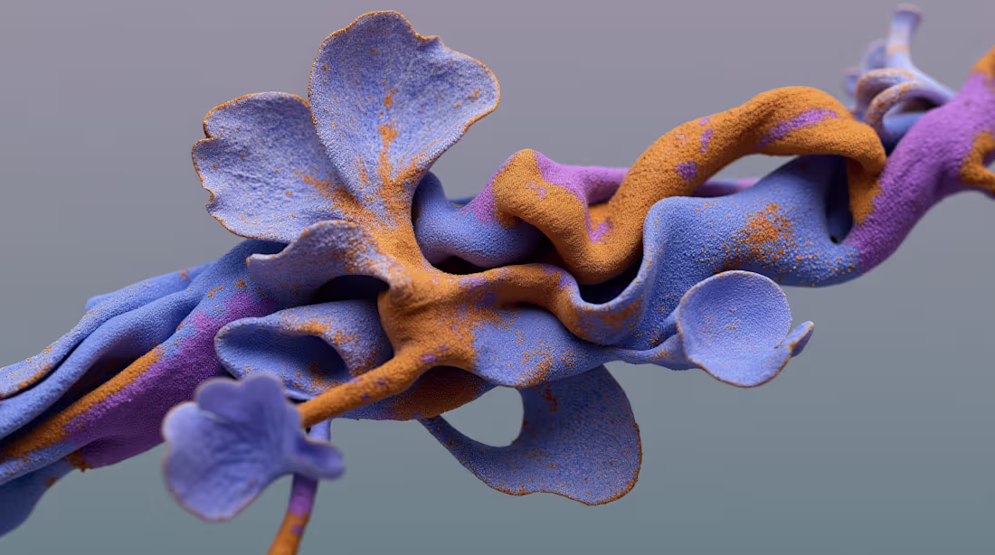 Cover image for A metamorphosis from silence and stillness. https://www.inst...