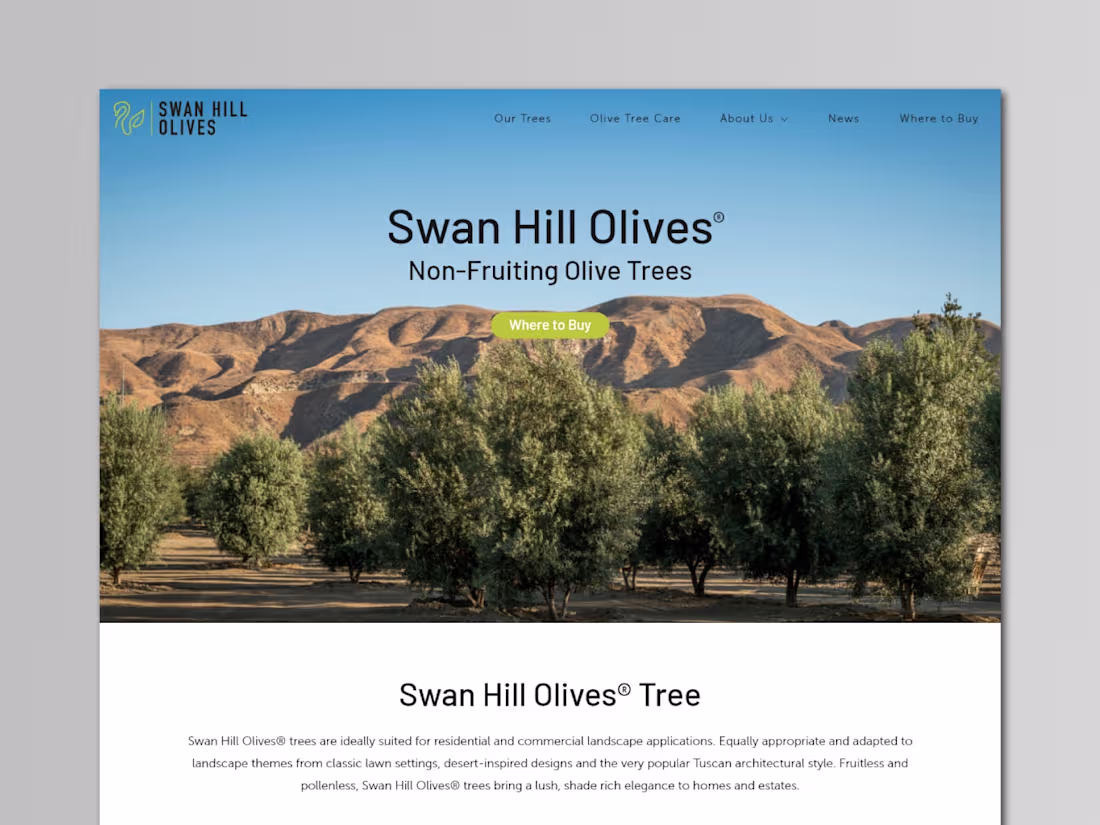 Cover image for Olive Tree Nursery Website Design | Swan Hill Olives