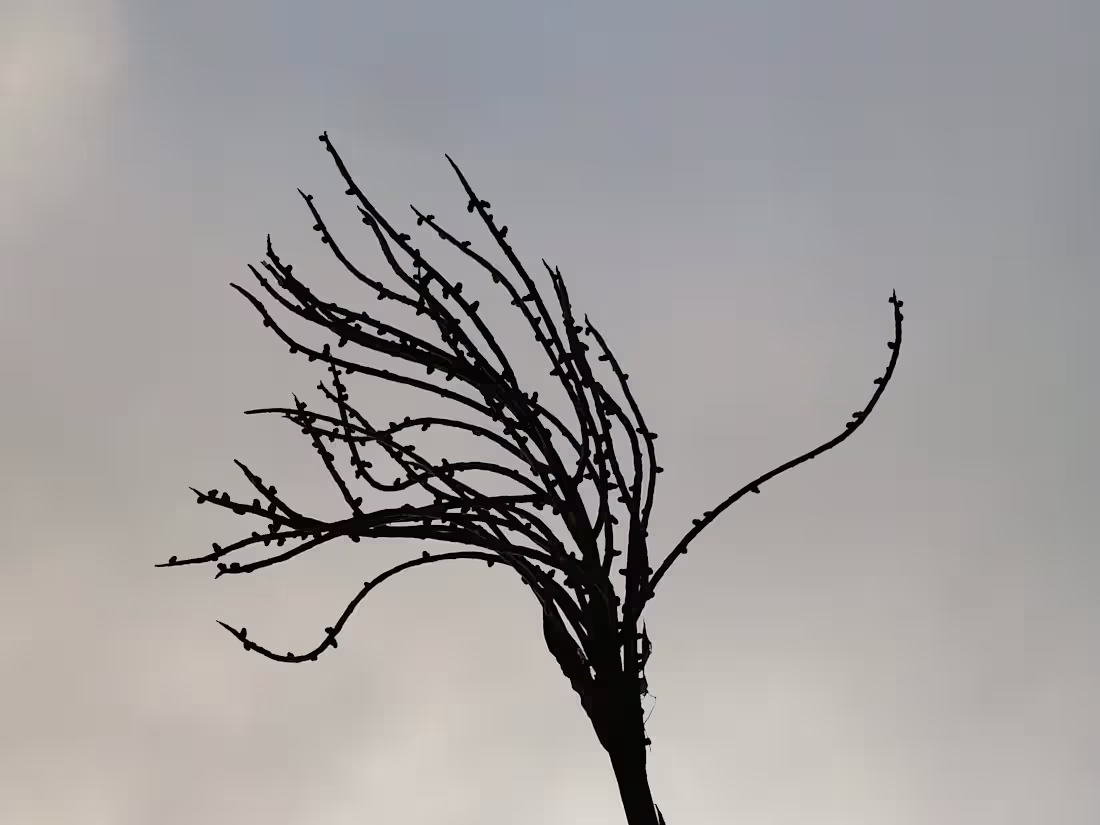 Cover image for Youtube channel 